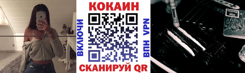 Кокаин Fish Scale  mega ССЫЛКА  даркнет состав  Камешково 