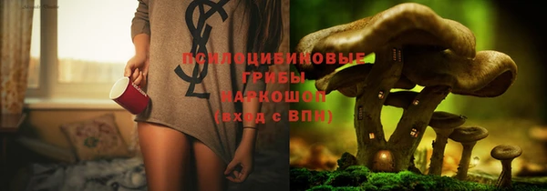 дживик Остров
