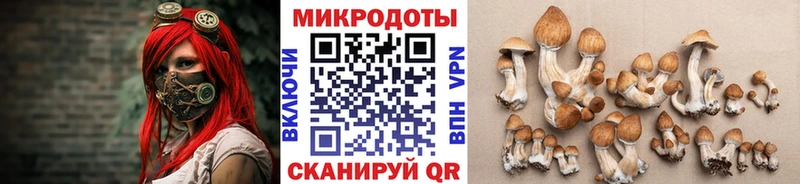 наркотики  МЕГА маркетплейс  Галлюциногенные грибы мицелий  Камешково 